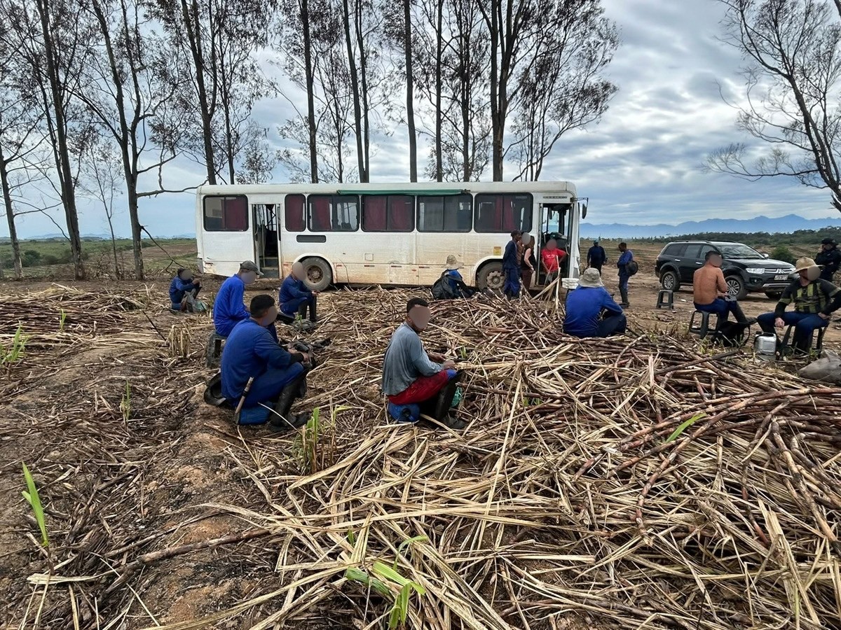 Trabalhadores relatam jornadas de 15 horas e alojamentos precários em canavial de Cabo Frio, onde 67 foram resgatados